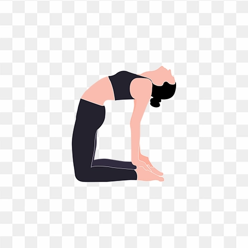 Yoga pose clipart png